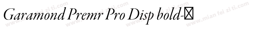 Garamond Premr Pro Disp bold字体转换